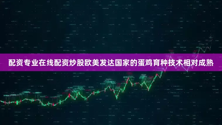 配资专业在线配资炒股欧美发达国家的蛋鸡育种技术相对成熟
