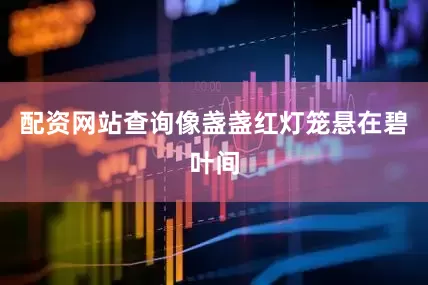配资网站查询像盏盏红灯笼悬在碧叶间