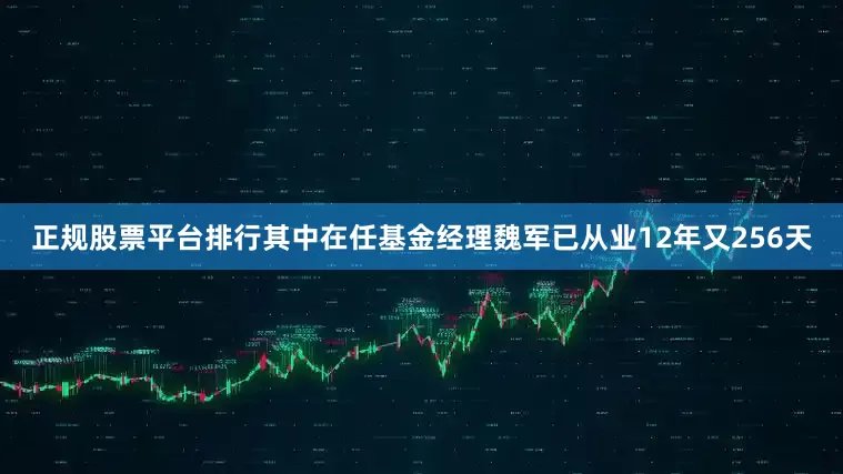 正规股票平台排行其中在任基金经理魏军已从业12年又256天